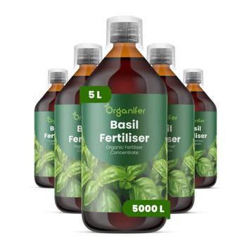 Basilicum Vloeibare Meststof - 5x1 Liter, Verzenden, Mest