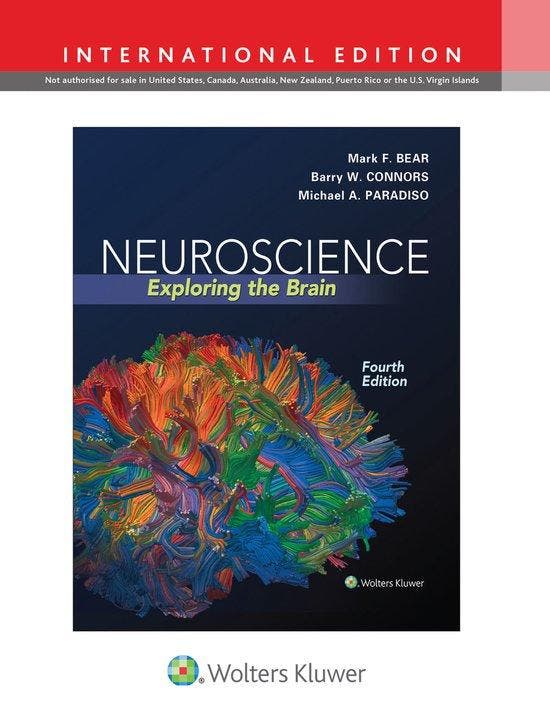 Neuroscience 4E International Edition - Mark F. Bear, Boeken, Taal | Engels, Gelezen, Verzenden