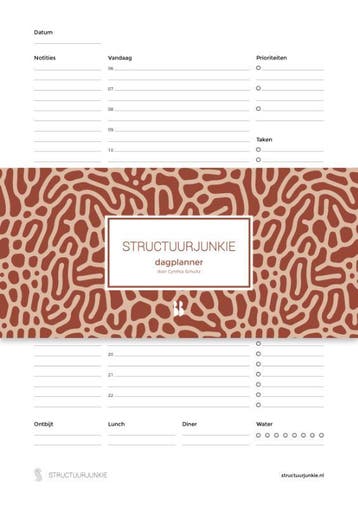 De Structuurjunkie Dagplanner | Cynthia Schultz | Nieuw, Boeken, Ophalen of Verzenden, Nieuw, Cynthia Schultz