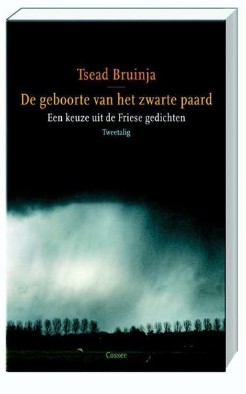 De geboorte van het zwarte paard - Tsead Bruinja, Verzenden, Zo goed als nieuw, Tsead Bruinja