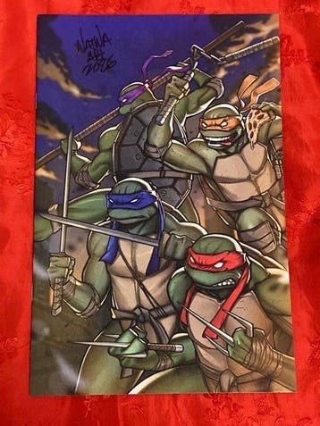 Teenage Mutant Ninja Turtles 15 - Teenage Mutant Ninja, Nieuw
