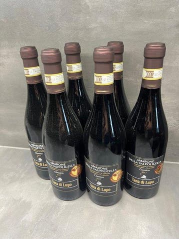 2017 Tana di Lupo - Amarone della Valpolicella - 6 Flessen, Nieuw