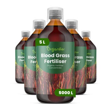 Vloeibare meststof voor bloedgras - 5x1 liter, Verzenden, Mest
