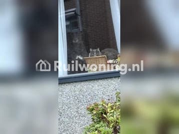 Ruim huis in Den Helder zoekt plekje in Den Helder