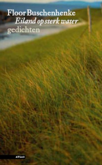 Eiland op sterk water 9789045001166 Floor Buschenhenke, Boeken, Verzenden, Gelezen, Floor Buschenhenke