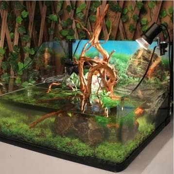 Natuurlijk Drijfhout Aquarium Decoratie voor Aquascape, Verzenden, Nieuw