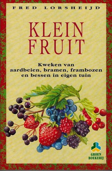 Klein fruit / De groenboekerij - F. Lorsheijd 9789021523224, Verzenden, Gelezen, F. Lorsheijd