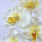 Panda Orchidee Spray Creme Zijden, Huis en Inrichting, Woonaccessoires | Kunstplanten en Kunstbloemen, Ophalen of Verzenden, Nieuw