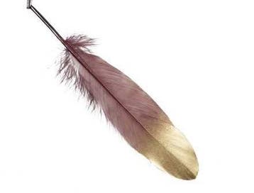 Penveren Burgundy / Goud 18-20cm pak ca. 24st Veren Goud dip, Ophalen of Verzenden, Nieuw