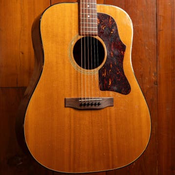 Gibson 1974 J-50 Deluxe, Muziek en Instrumenten, Snaarinstrumenten | Gitaren | Akoestisch, Ophalen of Verzenden, Nieuw