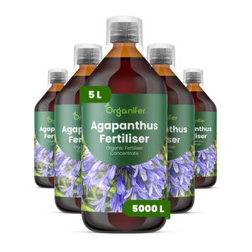 Agapanthus Vloeibare Meststof - 5 x 1 Liter, Verzenden, Mest
