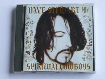 Dave Stewart and the Spiritual Cowboys, Ophalen of Verzenden, Zo goed als nieuw
