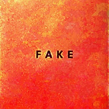 cd - Die Nerven - Fake, Verzenden, Zo goed als nieuw