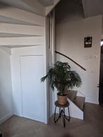 kasten voor u op maat gemaakt!, Garantie, Timmerwerk of Zaagwerk