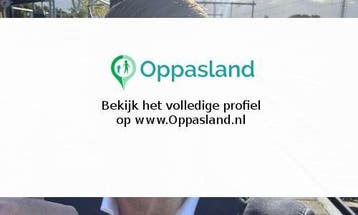 Thomas zoekt een oppas in de Lutte voor 2 kinderen., Boeken, Nieuw