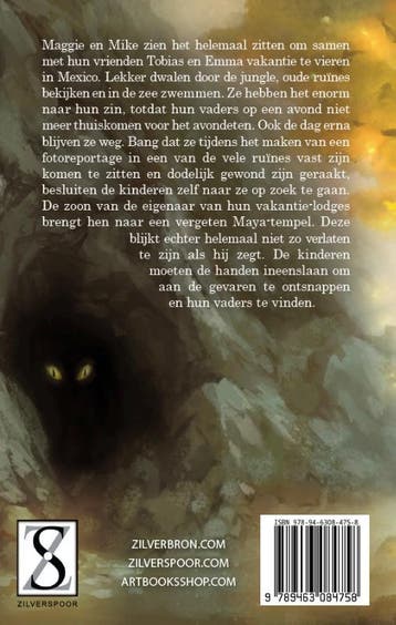 De verdwenen vaders / Fata Morgana / 1 9789463084758, Verzenden, Gelezen, Leana Mystica