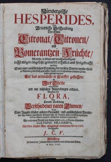 J. Ch. Volckamer - Nürnbergische Hesperides oder gründliche
