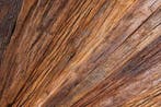 Massief highboard BARRACUDA 120cm bruin mangohout met, Huis en Inrichting, Kasten | Overige, Ophalen of Verzenden, Nieuw