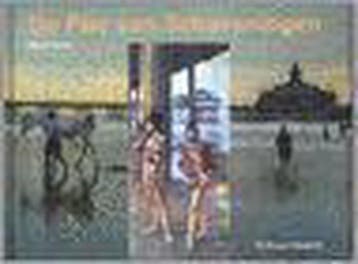 De pier van Scheveningen - M. Herlee 9789077032060, Verzenden, Zo goed als nieuw, M. Herlee