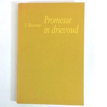 Promesse in drievoud - Boersma, Verzenden, Gelezen