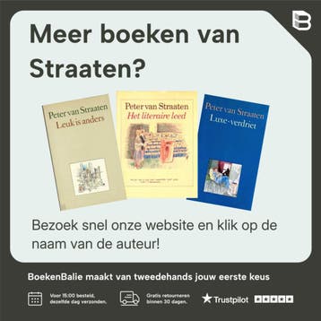 Theo van Doesburg schilder architect - Straaten, Boeken, Verzenden, Zo goed als nieuw, Straaten
