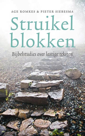 Struikelblokken - Age Romkes 9789023953135, Verzenden, Zo goed als nieuw, Age Romkes