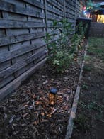 Solar Tuinverlichting - Buitenverlichting - Zonneenergie - Z, Verzenden, Zo goed als nieuw