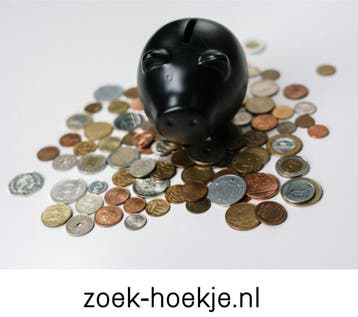 Makkelijk geld verdienen met simpele websites, Starter, Overige vormen, Overige niveaus, Geschikt als bijbaan