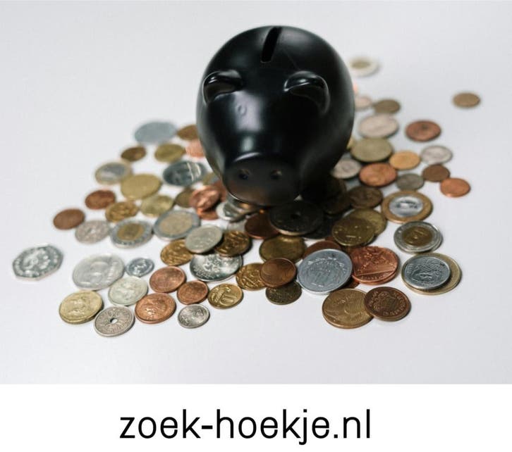 Makkelijk geld verdienen met simpele websites, Vacatures, Vacatures | Thuiswerk, Overige niveaus, Starter, Variabele uren, Overige vormen