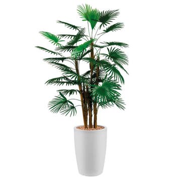 Rhapis Palm kunstplant, H150cm, Huis en Inrichting, Ophalen of Verzenden, Palm, 150 tot 200 cm