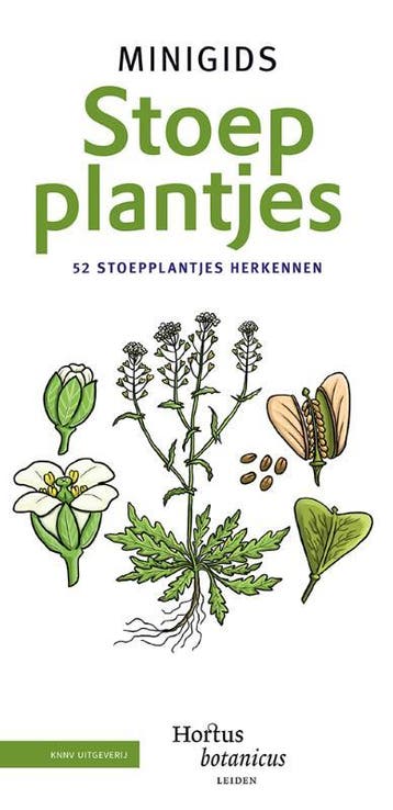 Set Minigids Stoepplantjes |  | Nieuw, Boeken, Ophalen of Verzenden, Nieuw