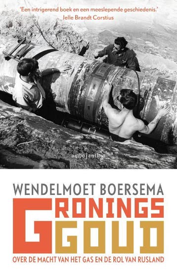 Gronings Goud | Wendelmoet Boersema | Nieuw, Boeken, Ophalen of Verzenden, Nieuw, Wendelmoet Boersema