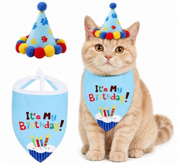 Katten cadeau en snack pakket zalm en muisjes, Dieren en Toebehoren, Ophalen of Verzenden, Nieuw