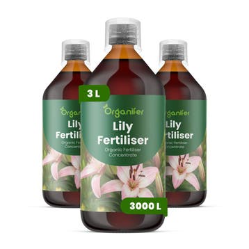 Lelie Vloeibare meststof - Set 3x1 liter, Tuin en Terras, Verzenden, Mest