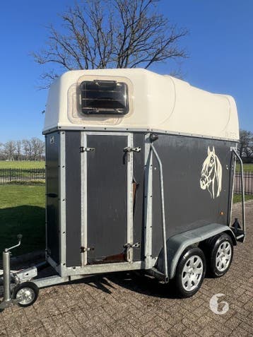 Leuke Impex 1.5 paards!, Dieren en Toebehoren, Ophalen, Zo goed als nieuw