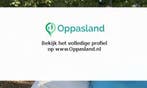 Roger zoekt een oppas in Utrecht voor 2 kinderen op donde...