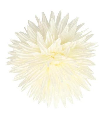 Haarspeld Duckklem 12cm – Haarbloem Aster – Creme, Nieuw