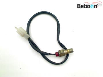 Lambda Sonde Cagiva Raptor 1000 2000-2005 M200, Verzenden, Gebruikt