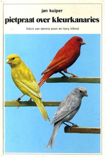 Pietpraat over kleurkanaries - Kuiper 9789025267087, Verzenden, Gelezen, Kuiper