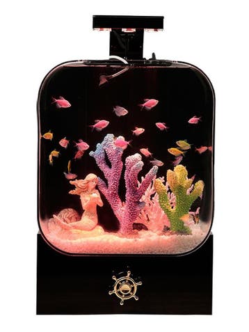 Premium Plexiglas Aquariumset –  Ingebouwde filter –30 Liter, Dieren en Toebehoren, Ophalen of Verzenden, Nieuw