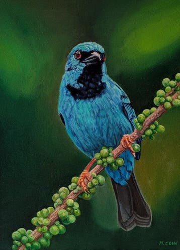 Maryse Coin - Léclat turquoise