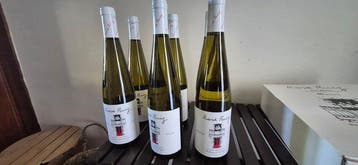 2024 Rosa Ruiz Albariño - Rias Baixas - 6 Flessen (0.75, Nieuw