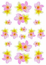 Fietsstickers met bloemen, vlinders, schildpadden en meer..., Nieuw
