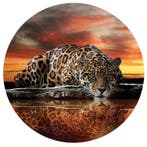Behangcirkel Jaguar, Jaguar Muursticker, Panter, Tijger,, Verzenden, Behangcirkel, muurcirkel, roofdieren