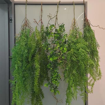 Hangende Kunstplant Groen - Decoratieve Nep Klimop voor Huis, Huis en Inrichting, Verzenden