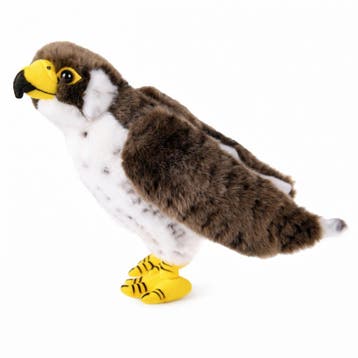 Pluche slechtvalk knuffel - bruin/wit - 23 cm - roofvogel, Verzenden, Nieuw