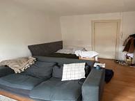 Kamer Herestraat in Groningen, Overige soorten, Groningen