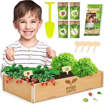 Kinder Moestuinset | 4 soorten zaden | 32% Korting, Ophalen of Verzenden, Zo goed als nieuw, Ontdekken
