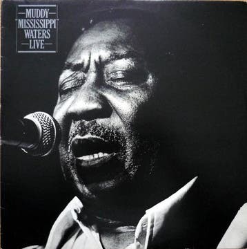 Muddy Waters - Muddy Mississippi Waters Live, Ophalen of Verzenden, Gebruikt
