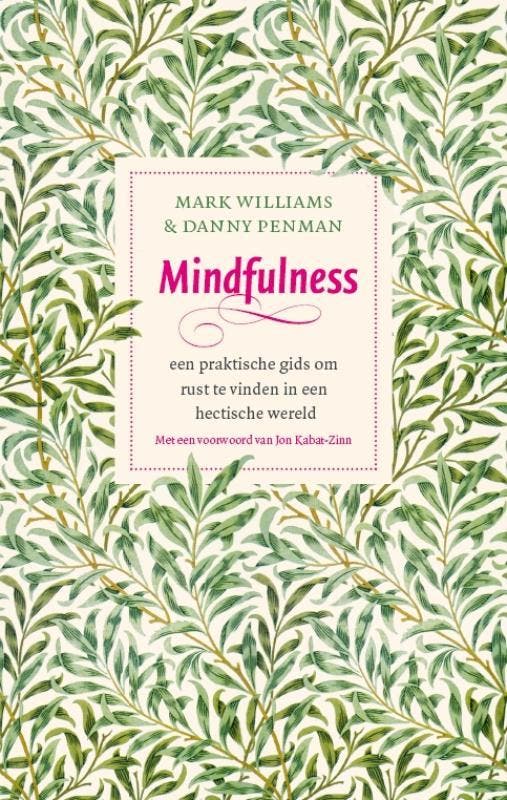 Mindfulness 9789057123412 Mark Williams, Boeken, Psychologie, Gelezen, Verzenden
